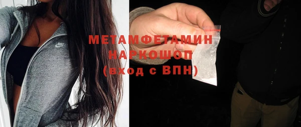 хмурый Алексин