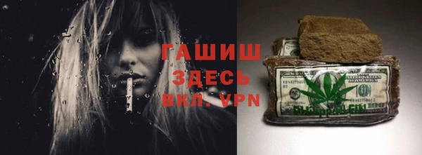 шишки Каменногорск