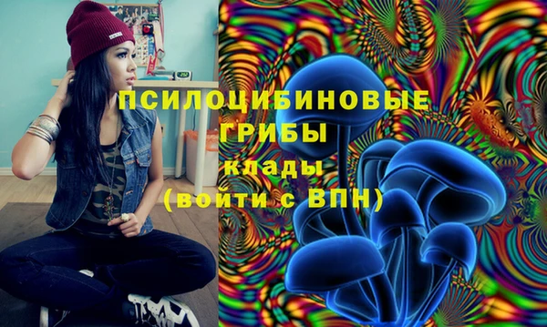 а пвп мука Абдулино