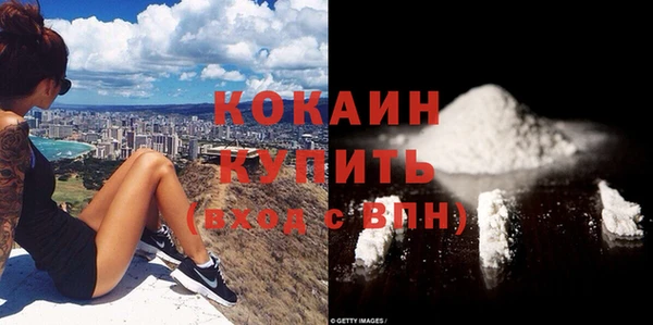 шишки Каменка
