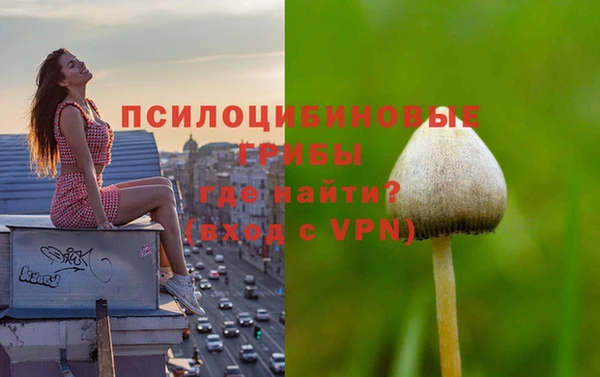а пвп мука Абдулино