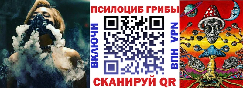 Галлюциногенные грибы Psilocybine cubensis  Яхрома 