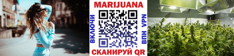купить сайты Яхрома Канабис семена